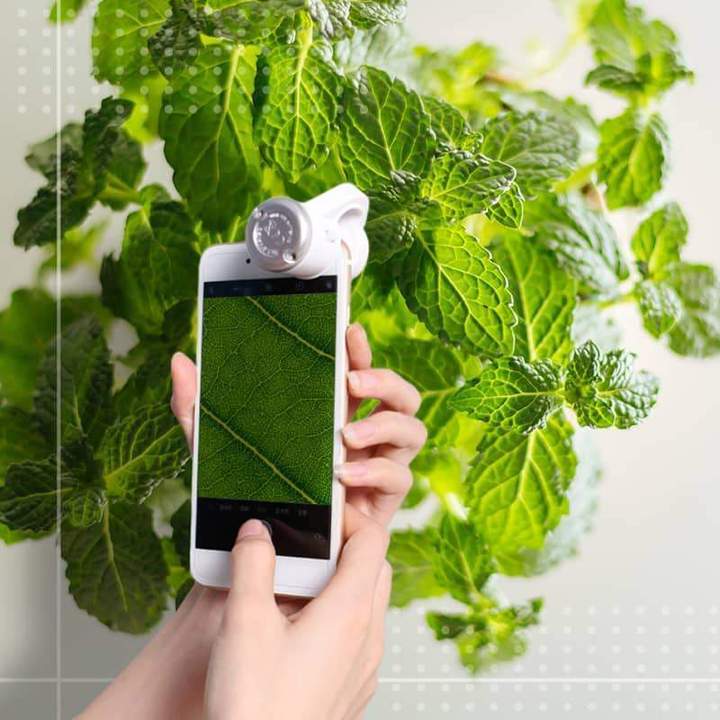 LED mikroskop pre mobilný telefón – Obrázok 2