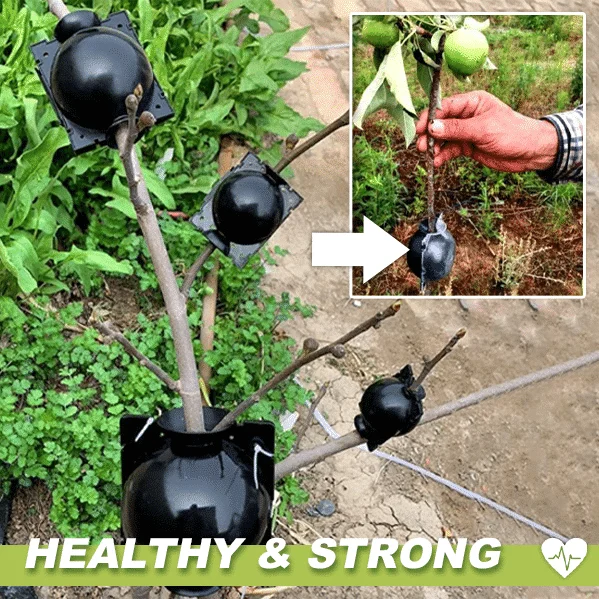 Boxy na rastliny na vrstvenie vzduchom 3ks – Obrázok 2