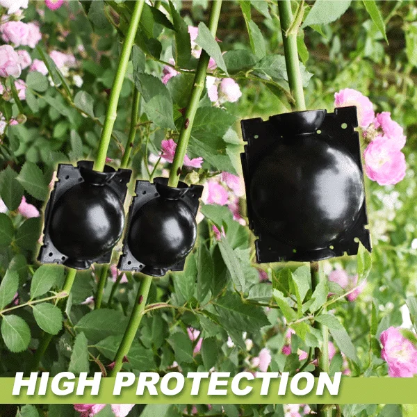 Boxy na rastliny na vrstvenie vzduchom 3ks – Obrázok 3